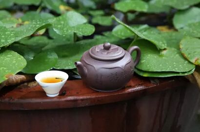 容器不對，泡茶浪費！ www.szwsmoon.cn