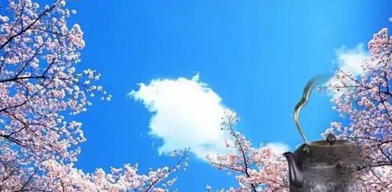 鐵壺？您真的了解嗎？ www.szwsmoon.cn